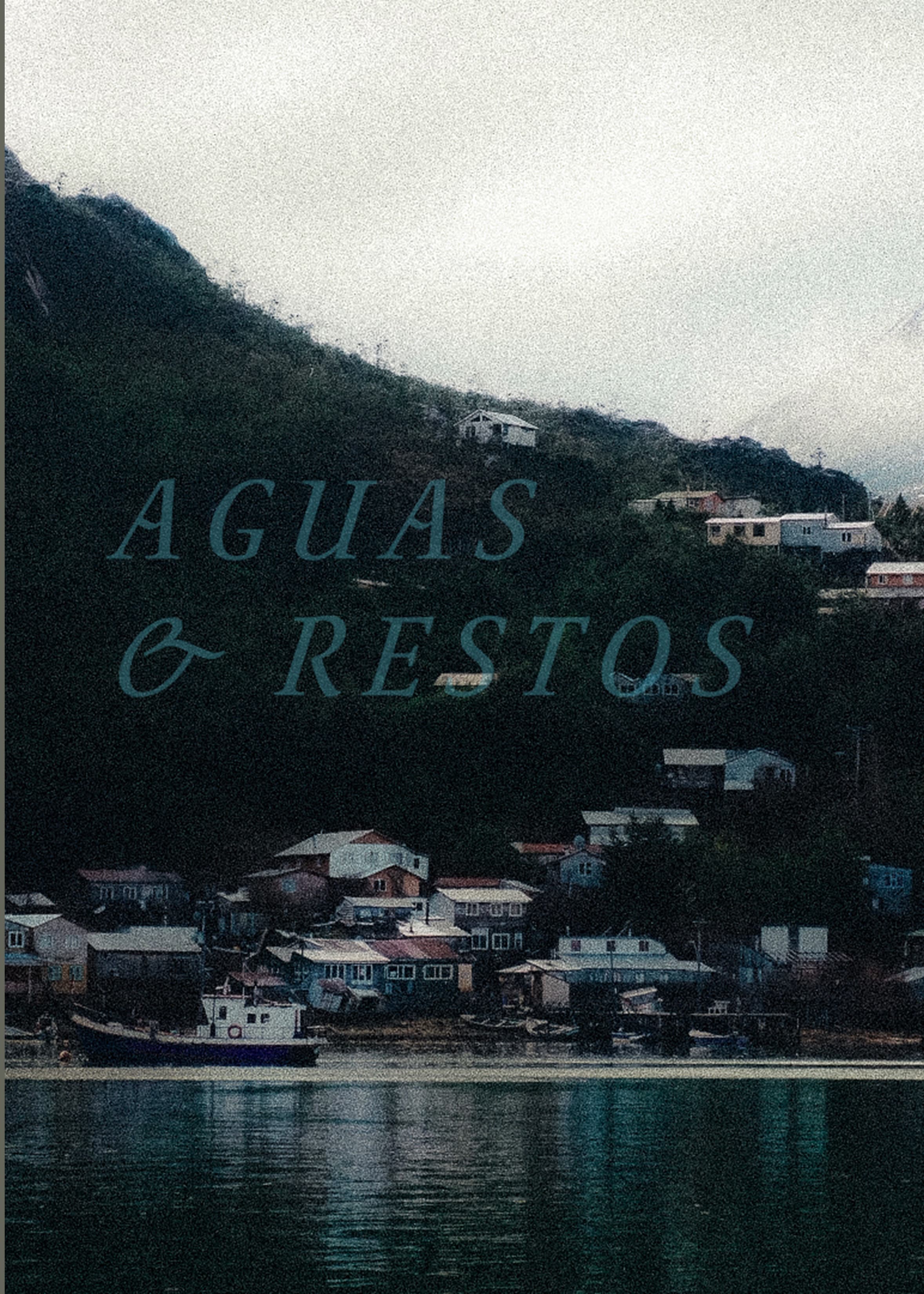 Aguas y restos poster
